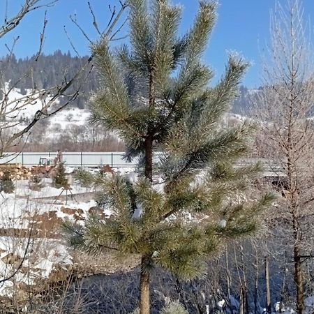 Затишний Будиночок Bukovets Esterno foto