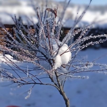 Затишний Будиночок Bukovets Esterno foto