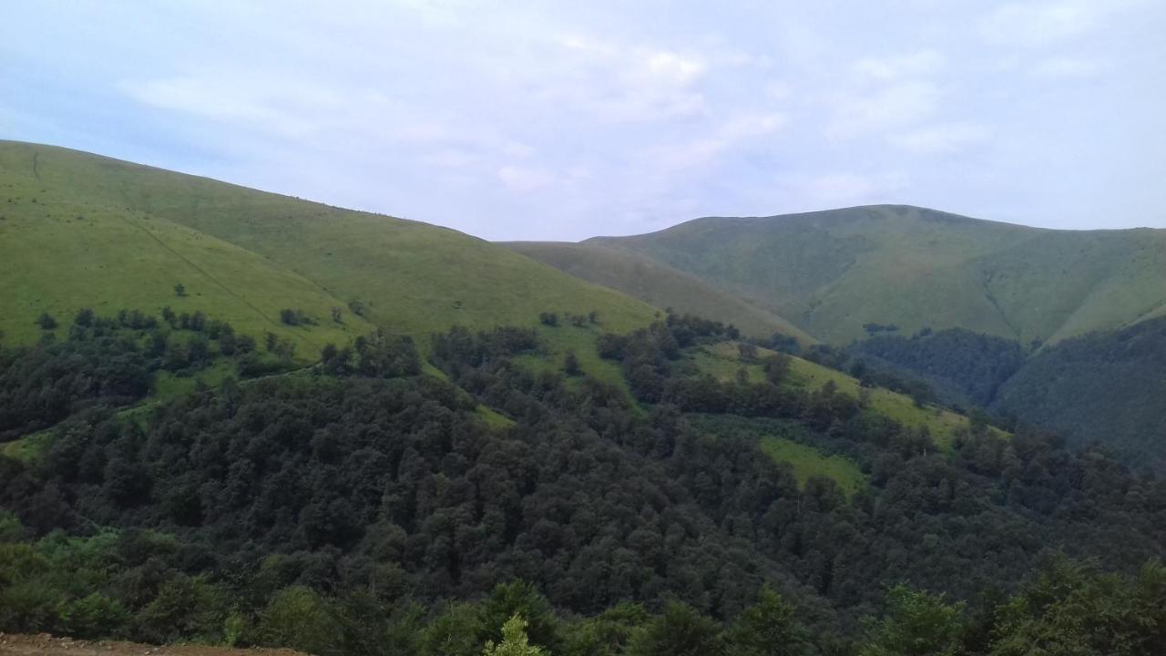 Затишний Будиночок Bukovets Esterno foto