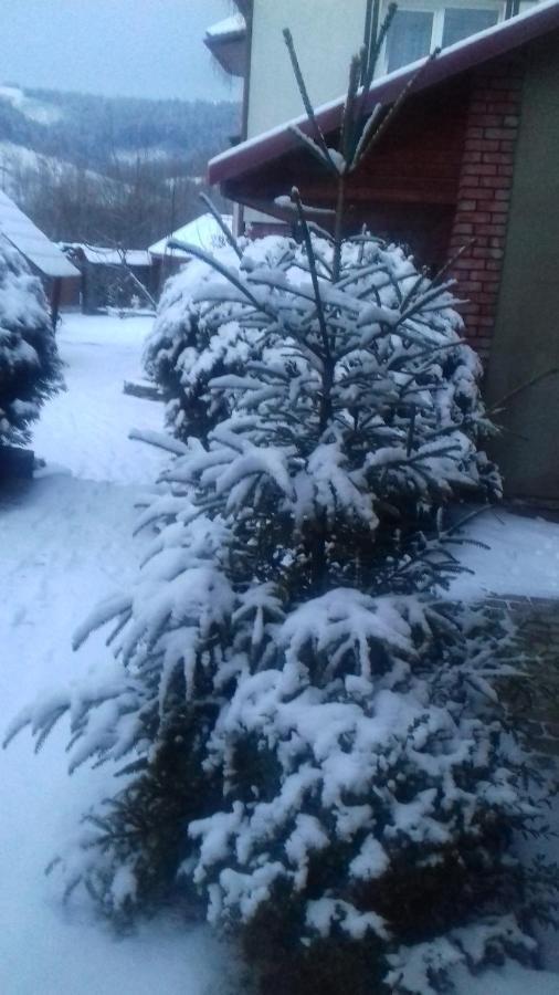 Затишний Будиночок Bukovets Esterno foto