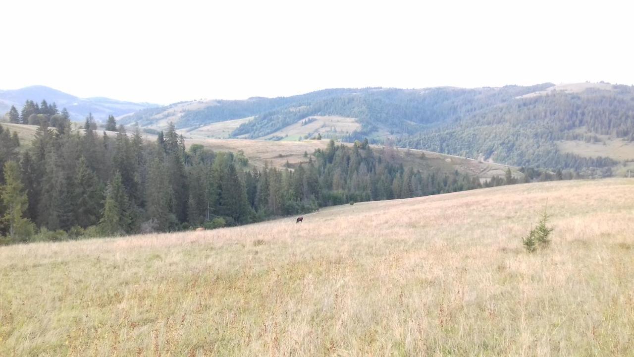 Затишний Будиночок Bukovets Esterno foto
