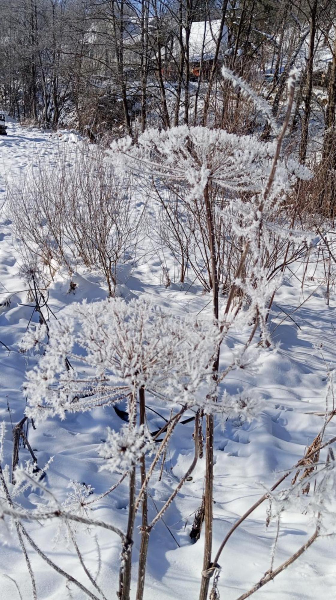 Затишний Будиночок Bukovets Esterno foto